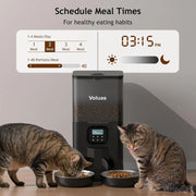 Automatic Cat Feeder for Two Cats, Double Pet Feeder with 2 Stainless Steel Bowls, 6L Timed Cat Feeders with Memory Function