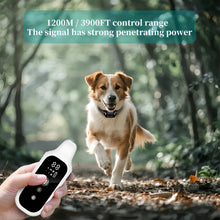 Remote Dog Training Collar