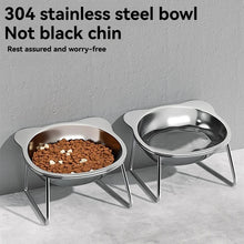 Slanted Stainless Steel Pet Bowl