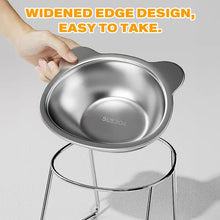 Slanted Stainless Steel Pet Bowl