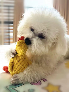 Rope Knot Dog Toy