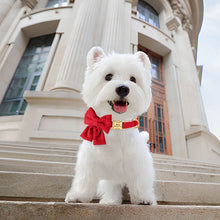 Personalized Bowtie Dog Collar