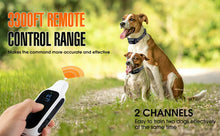 Remote Dog Training Collar