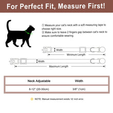 Personalized Cat Collar