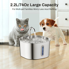 ZYFeeder 2.2L Pet Water Fountain