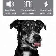 Remote Dog Training Collar