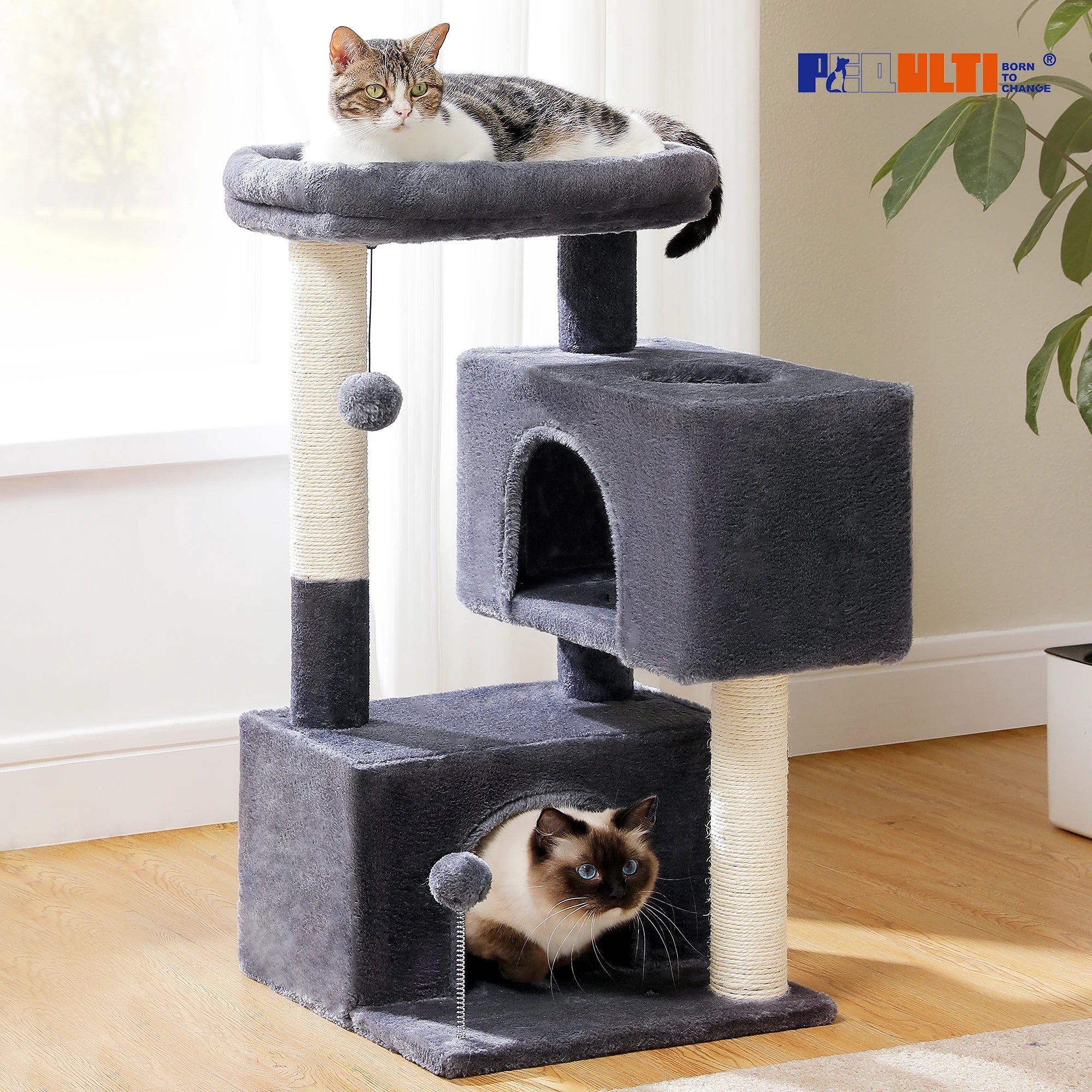 Large Multi-Level Cat Tree