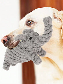 Rope Knot Dog Toy