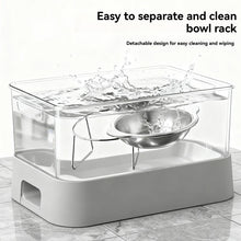 Slanted Stainless Steel Pet Bowl