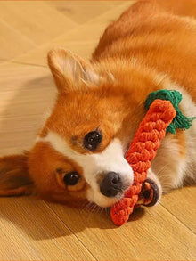Rope Knot Dog Toy