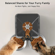 Automatic Cat Feeder for Two Cats, Double Pet Feeder with 2 Stainless Steel Bowls, 6L Timed Cat Feeders with Memory Function