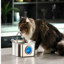 ZYFeeder 2.2L Pet Water Fountain