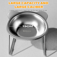 Slanted Stainless Steel Pet Bowl