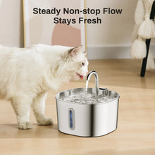 ZYFeeder 2.2L Pet Water Fountain