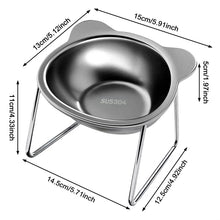 Slanted Stainless Steel Pet Bowl
