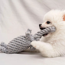 Rope Knot Dog Toy