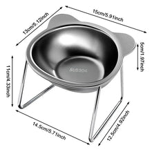 Slanted Stainless Steel Pet Bowl