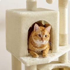 61-Inch Plush Cat Tree