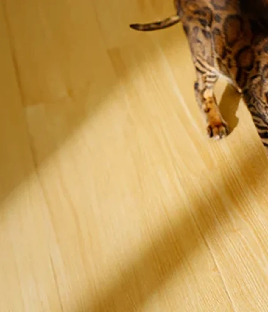 Smart pet-care collection