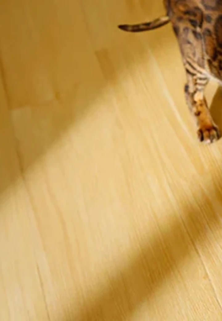Connected pet-care products