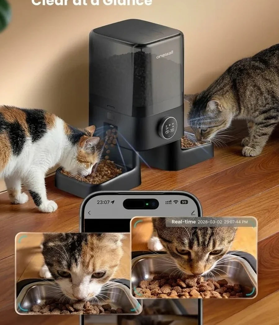 Cats beside an automatic feeder