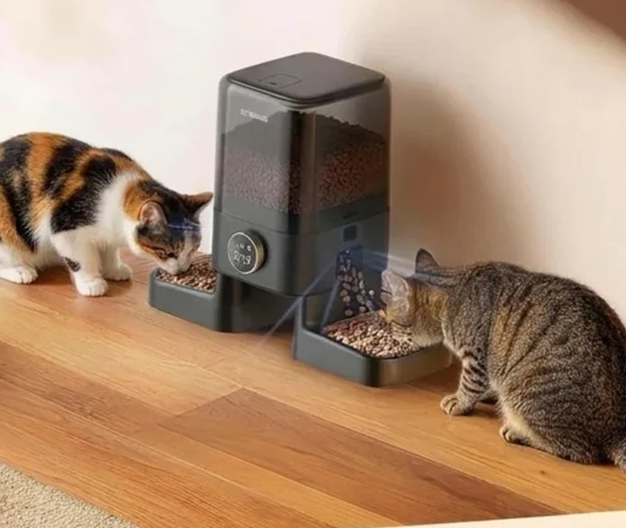 Feeding routine