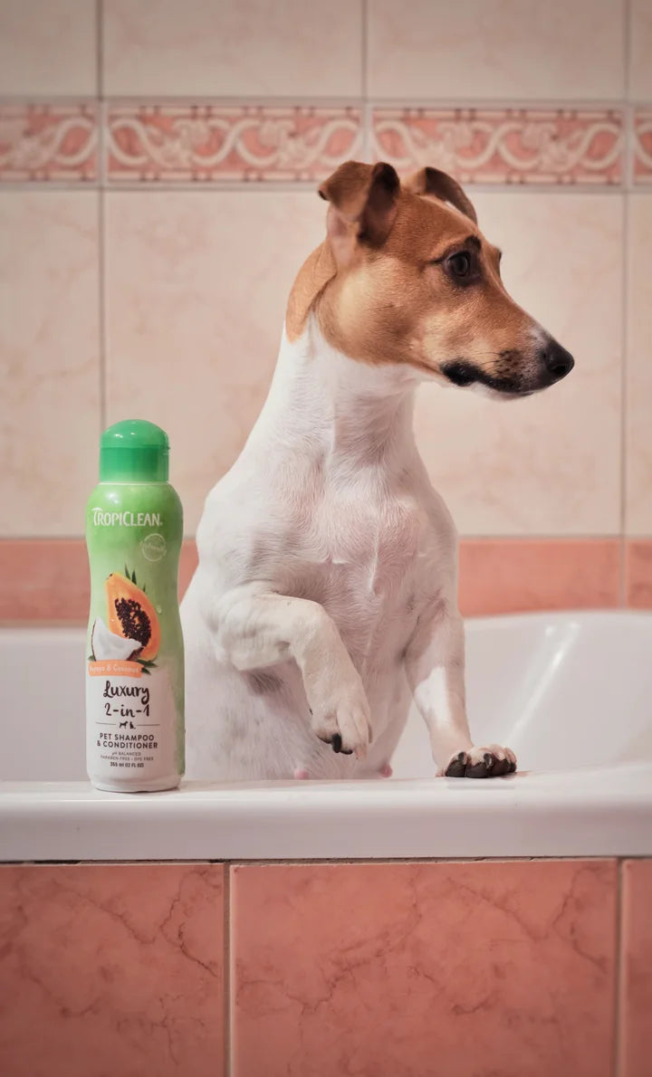 Pet grooming and wellness