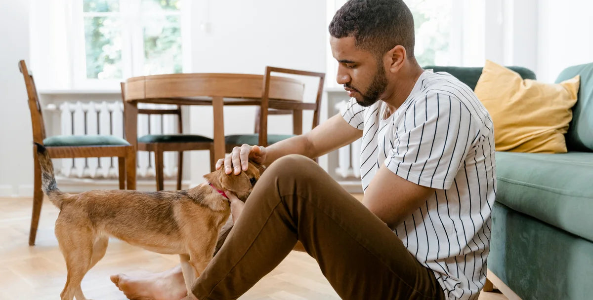 Pet health and care essentials